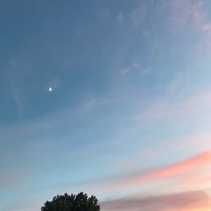 Meet your Posher, Daniela